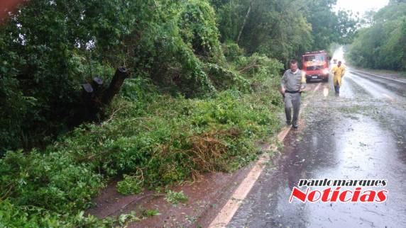 Chuvas e ventos provocam interrupções de rodovias em Santa Rosa - foto 2