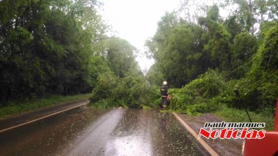 Chuvas e ventos provocam interrupções de rodovias em Santa Rosa - foto 4