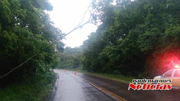 Chuvas e ventos provocam interrupções de rodovias em Santa Rosa - foto 6