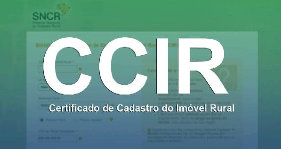 Sindicato Rural de Três de Maio está realizando a emissão do documento