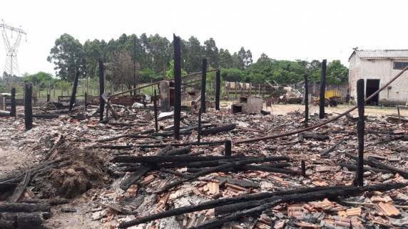 Mais de 80 animais morrem em incêndio em propriedade na Região Central do RS - foto 2