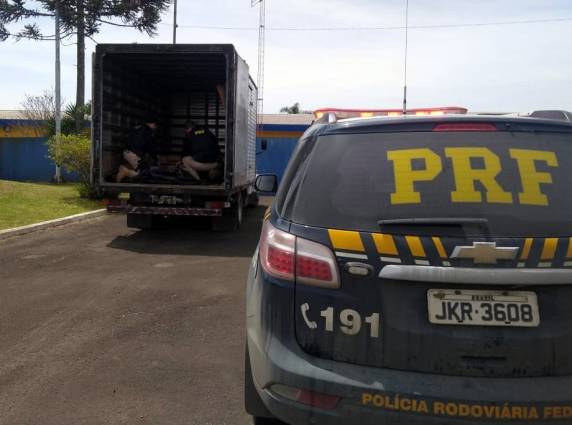 Caminhão com 1.700 quilos de camarões argentinos é apreendido no planalto catarinense - foto 4