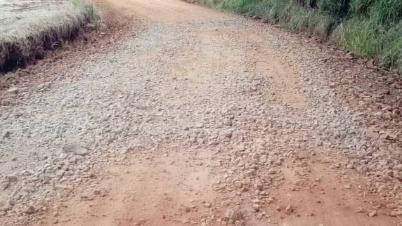 Internautas reclamam de situação das estradas no interior
de Alegria - foto 4