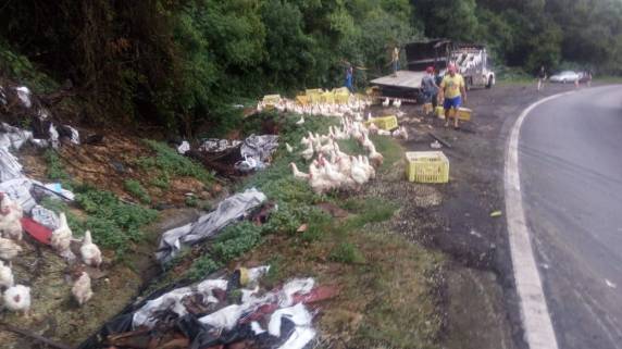 Caminhão tomba na Serra de Pouso Novo e deixa rodovia parcialmente bloqueada - foto 4