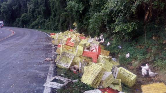 Caminhão tomba na Serra de Pouso Novo e deixa rodovia parcialmente bloqueada - foto 5