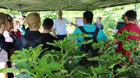 Evento teve seis estações que abordaram diferentes 

temas, desde flores de corte, hortaliças folhosas, fruticultura e saúde do trabalhador rural