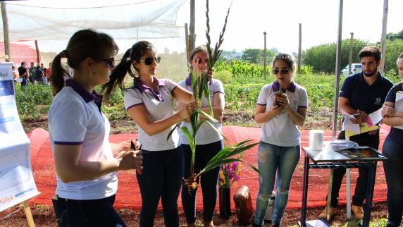 Evento teve seis estações que abordaram diferentes 

temas, desde flores de corte, hortaliças folhosas, fruticultura e saúde do trabalhador rural