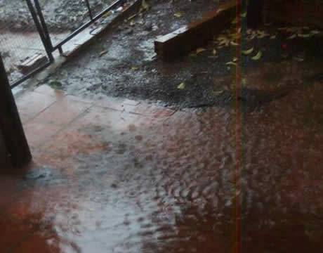 Moradores de Três de Maio relatam problemas que enfrentam em dias de chuvas intensas - foto 2