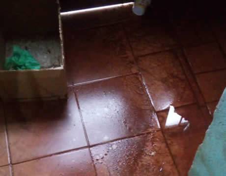 Moradores de Três de Maio relatam problemas que enfrentam em dias de chuvas intensas - foto 4