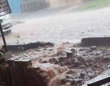 Moradores de Três de Maio relatam problemas que enfrentam em dias de chuvas intensas - foto 3
