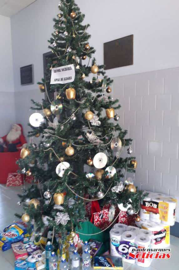 Árvore Solidária - Colonial FM em benefício da APAE de Alegria - foto 3