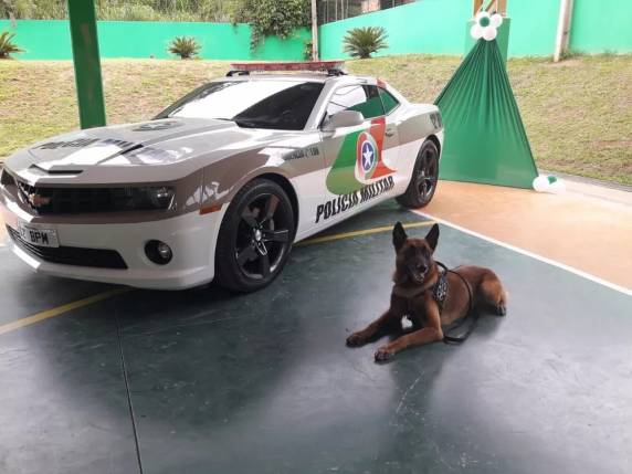 Veículo era usado por uma quadrilha e foi recuperado em fevereiro de 2013