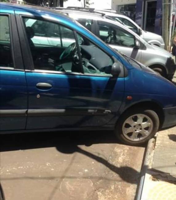 Cachorro é resgatado trancado dentro de carro sob forte calor em Santa Rosa - foto 3