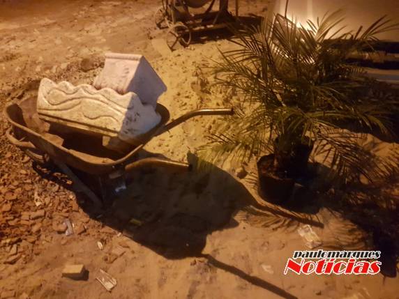 Elemento é preso e vasos furtados são recuperados pela Brigada Militar, em Horizontina - foto 4
