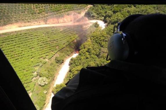 Após assalto a residência, BM
realiza buscas com helicóptero no interior de Caxias do Sul - foto 6