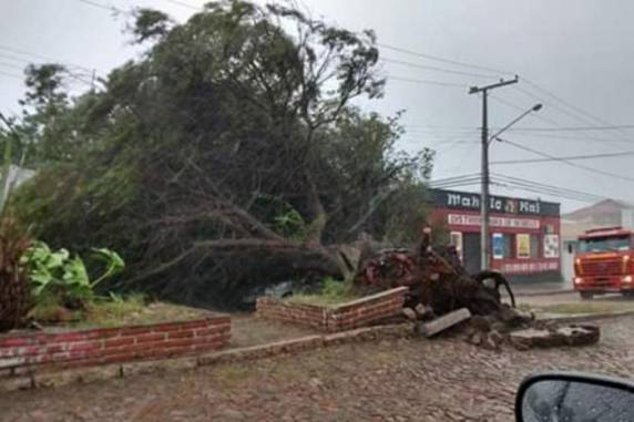 Temporal e ventos fortes causam estragos em
municípios do RS - foto 3