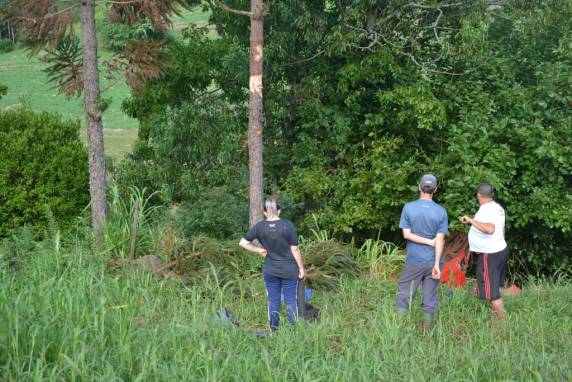 Jovem perde a vida na RS 404 em Rondinha após capotamento - foto 3