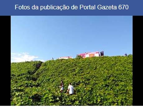 Saída de pista resulta em cinco pessoas feridas na BR 386 - foto 2