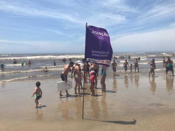 Desde o dia 

15 de dezembro, são mais de 12 mil casos