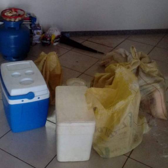 Brigada Militar prende casal logo após furto qualificado em Vitória das Missões - foto 3