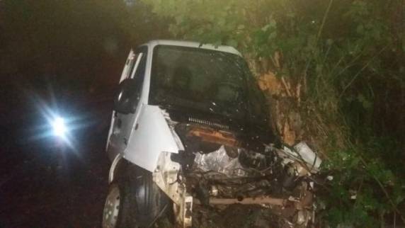 Vítima colidiu veículo em uma árvore na altura do km 226