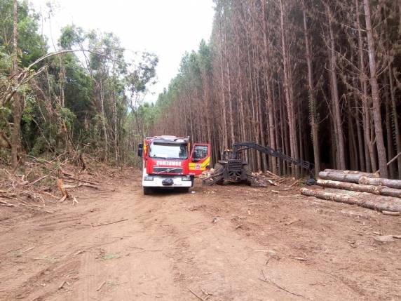 Segundo a Polícia Civil, o homem estava trabalhando em uma fazenda na localidade de Barracas. O Corpo de Bombeiros informou que ele teve traumatismo craniano