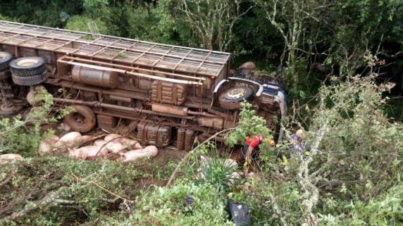 Caminhão carregado de suínos cai em barranco e motorista fica preso às ferragens entre Carazinho e Passo Fundo - foto 4