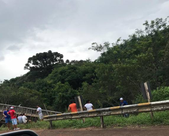 Caminhão carregado de suínos cai em barranco e motorista fica preso às ferragens entre Carazinho e Passo Fundo - foto 3
