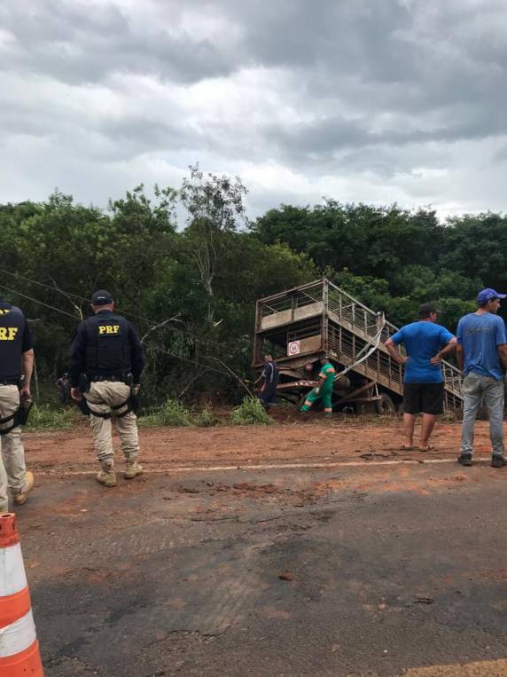Caminhão carregado de suínos cai em barranco e motorista fica preso às ferragens entre Carazinho e Passo Fundo - foto 2