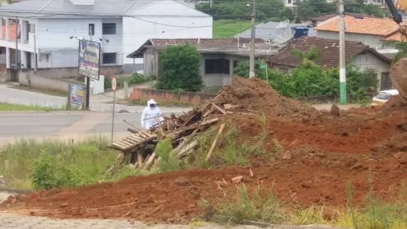 Ataque do enxame de abelhas ocorreu no bairro Niterói e também atingiu o marido da mulher. Eles foram socorridos e levados para o hospital