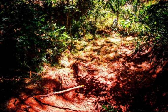 Habitantes comentam que não entendem os motivos pelos quais Sandra Mara foi assassinada
