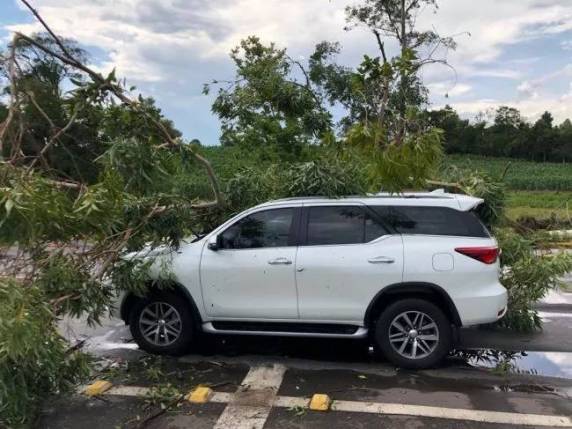 Vendaval causa danos em Venâncio Aires - foto 3