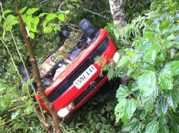 Carro saiu da pista e ficou preso sobre uma árvore