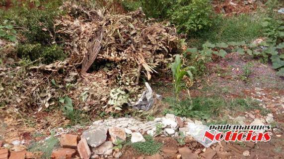 Proprietário de terreno demonstra preocupação com lixo acumulado por populares - foto 3