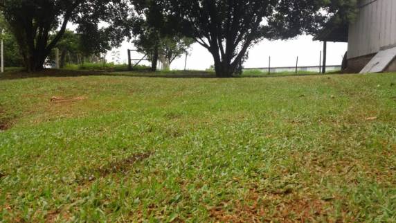 Assaltante que havia fugido após trocar tiros com agricultor é preso em meio a lavoura; dois foram mortos - foto 2