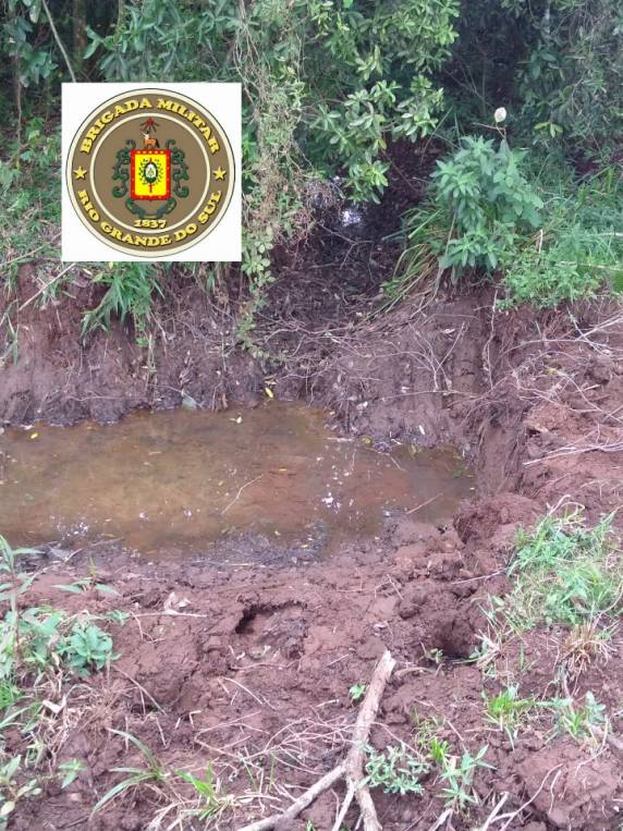 Brigada Militar registra crime ambiental em Catuípe - foto 8