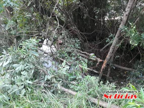Veículo fica destruído em acidente e motorista escapa com ferimentos sem aparente gravidade, em Três de Maio - foto 5