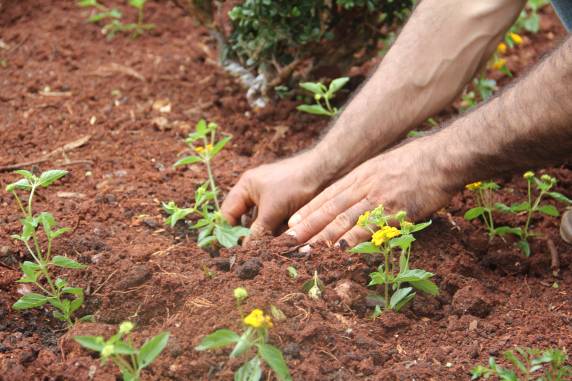 Curso de jardinagem: Secretaria de Agricultura e Meio Ambiente oferece oportunidade de qualificação - foto 5