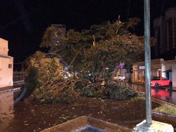 Temporal atingiu a cidade de Cruz Alta nesta segunda-feira - foto 2