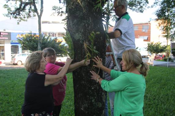 Programação do mês da mulher realiza ação especial - foto 2