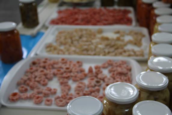 Curso de processamento de frutas: aperfeiçoamento e alternativa de renda - foto 2