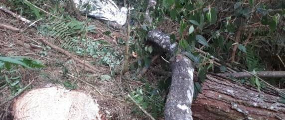 Vítima estava sem os sinais vitais quando os socorristas chegaram na área de reflorestamento de Campos Novos