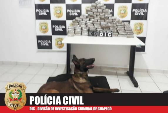 A ação contou com apoio da PRF