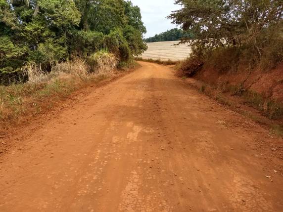 Moradores da comunidade de Medianeira pedem melhorias na estrada de acesso a cidade - foto 5