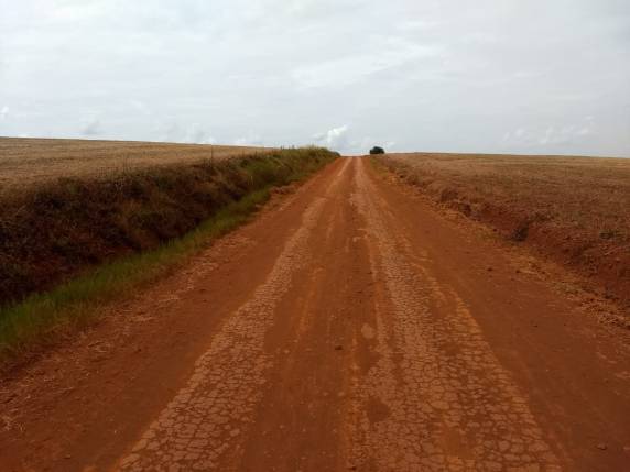 Moradores da comunidade de Medianeira pedem melhorias na estrada de acesso a cidade - foto 3