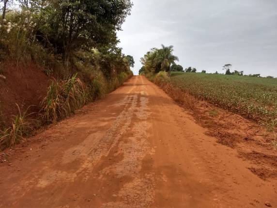 Moradores da comunidade de Medianeira pedem melhorias na estrada de acesso a cidade - foto 4
