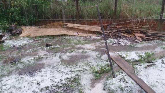 Temporal causa estragos em Caxias do Sul e região - foto 5