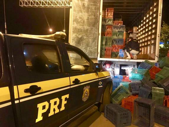 PRF apreende caminhão com mais de 1 milhão de reais em cigarro contrabandeado em Lagoa Vermelha - foto 2