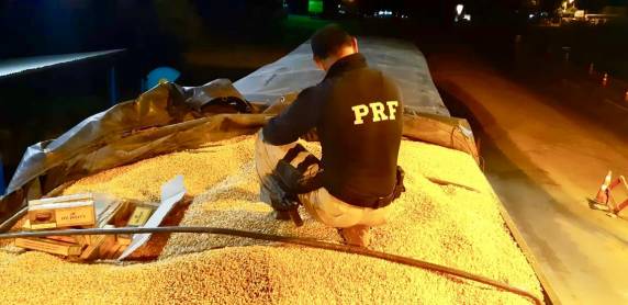 PRF apreende carreta com 100 mil maços de cigarro escondidos em meio a carga de milho em Sarandi - foto 3