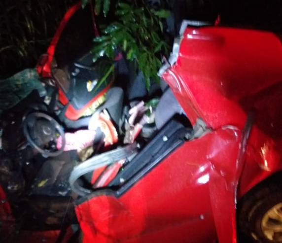 Acidente deixa quatro feridos na BR 285 - foto 3